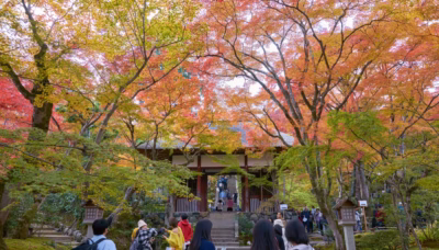 Autumn maple leaves arching over the entrance gate of Jojakko-ji, with many visitors walking toward the stone steps.