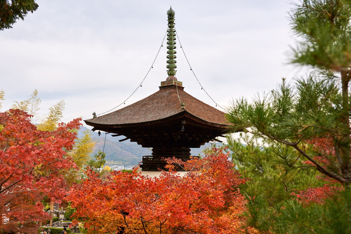 A view of Jojakko-ji’s Tahōtō pagoda seen through vivid red autumn leaves in the foreground.