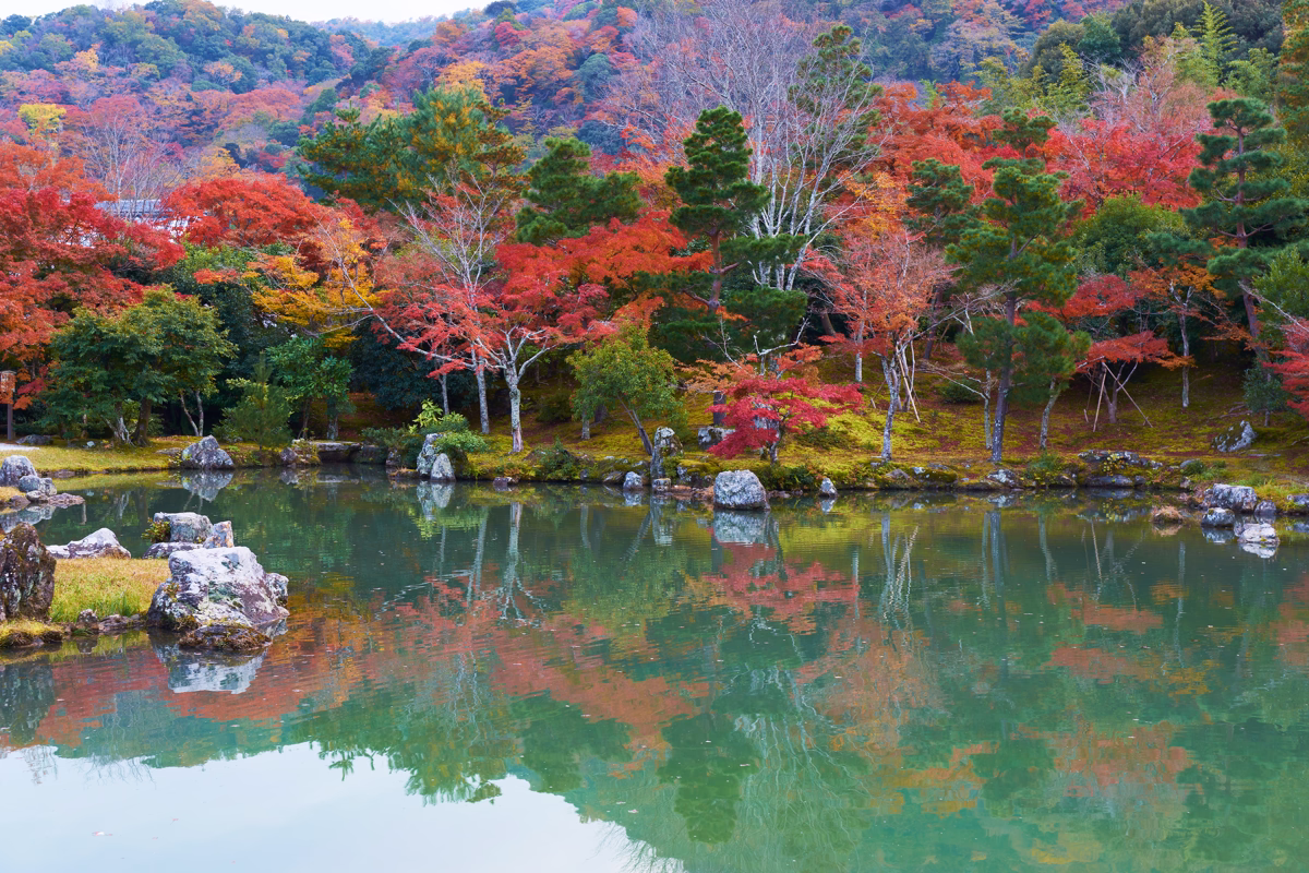 Photograph of Tenryu-ji’s Sogen Pond surrounded by vibrant autumn foliage.